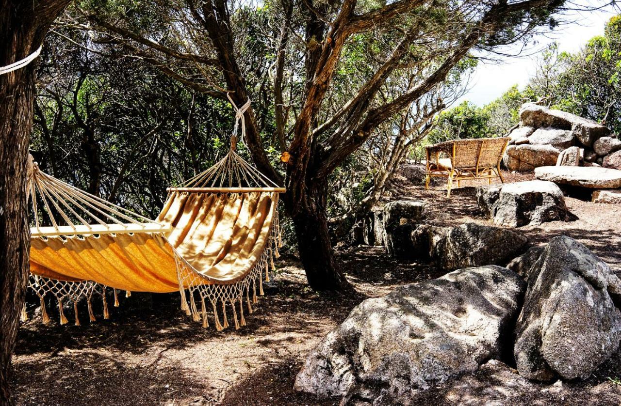 Villa Elena B&B Experience Santa Teresa Gallura Zewnętrze zdjęcie